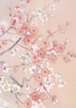 13203 - Kihaku 12961 crop2  